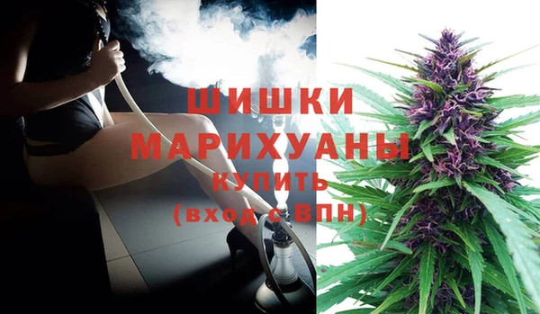 ALPHA PVP Белокуриха
