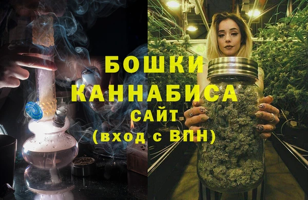 ALPHA PVP Белокуриха
